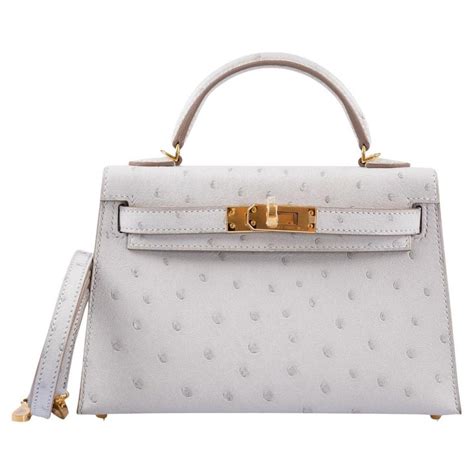 hermes 20 soesterberg|A GRIS PERLE OSTRICH MINI KELLY 20 II WITH PALLADIUM .